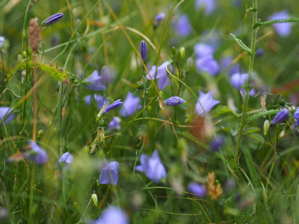 P7281158 1024x768
